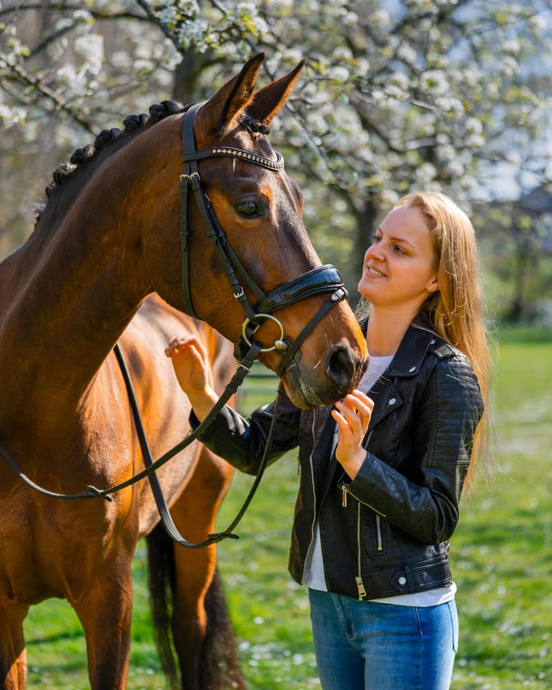 Huisdier fotoshoot