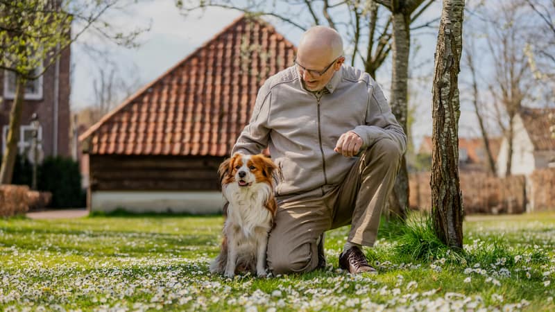 Huisdier fotoshoot