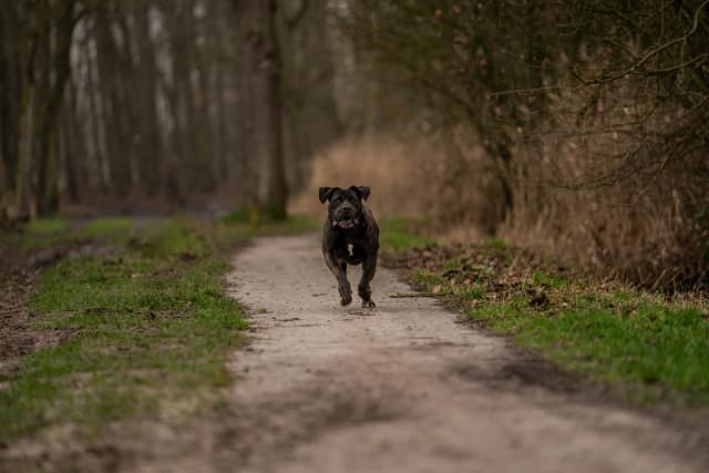Inwisselen locatie shoot