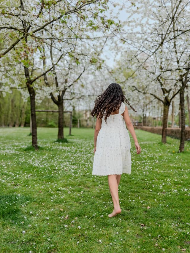 Huisdierfotografie: Tips voor het Vastleggen van je Harige Vriend deze Zomer