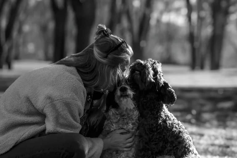 Huisdier fotoshoot