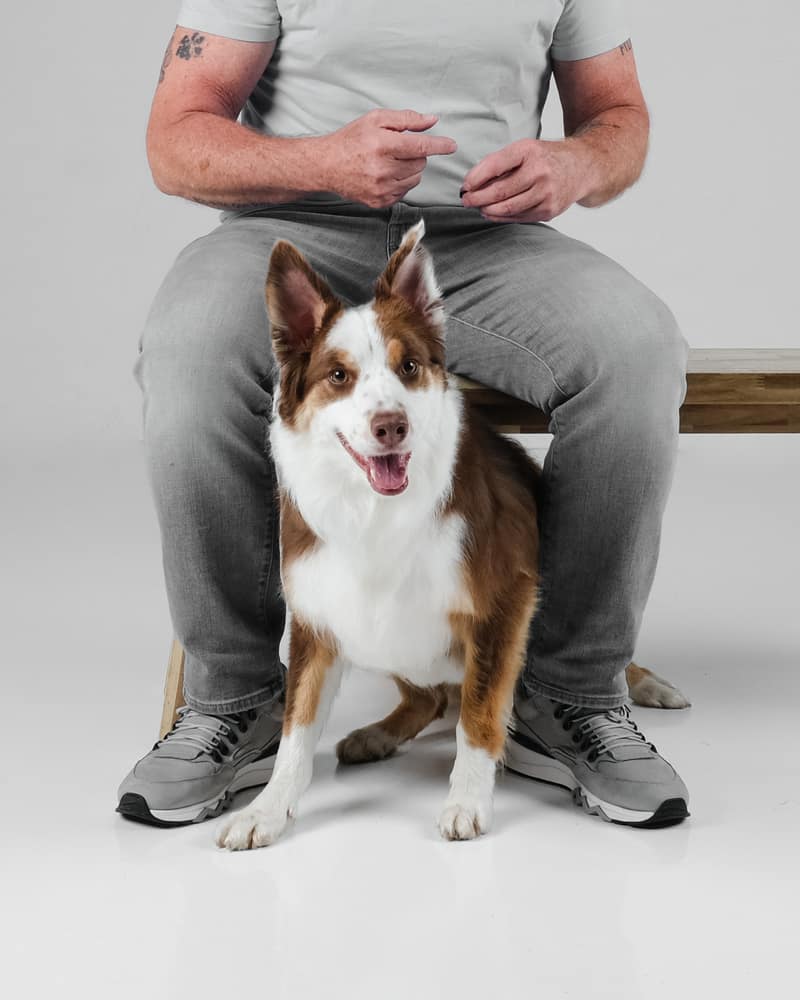 Huisdier fotoshoot