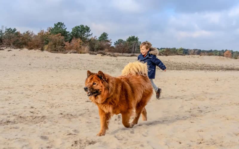 Kinderen fotoshoot